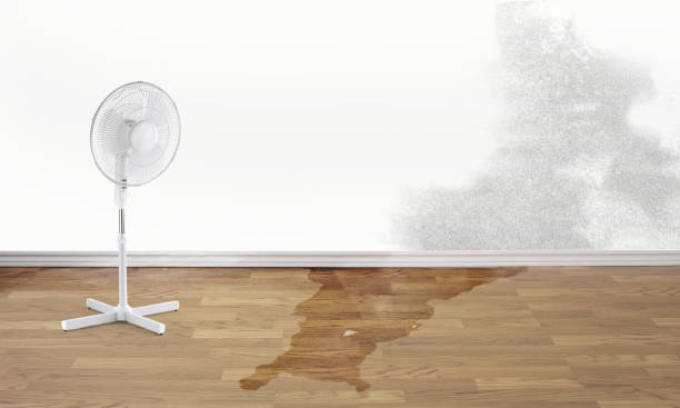 Best 24-hour water damage restoration  in Grove City, FL
