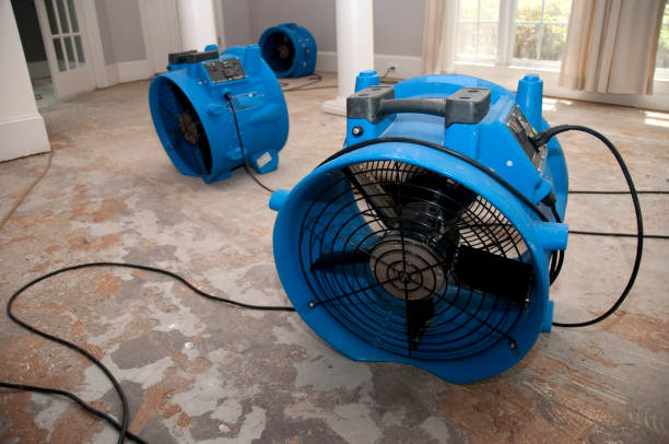 Local water damage restoration in FL