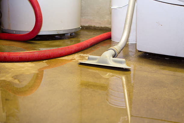 Best 24-hour water damage restoration  in Grove City, FL