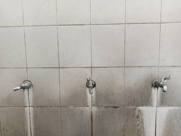 Best Fire Damage Restoration  in Grove City, FL