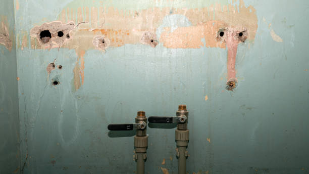 Best Water damage restoration near me  in Grove City, FL