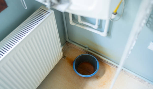 Best Professional water damage repair  in Grove City, FL