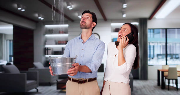 Best Flood restoration services  in Grove City, FL
